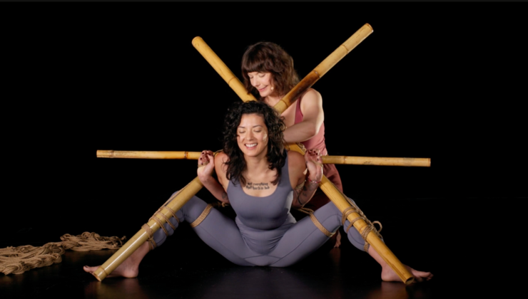 Scarlet Letter A Shibari Predicament