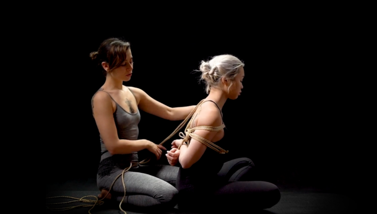 Simple Chest Harnesses